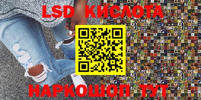 крисы Малгобек