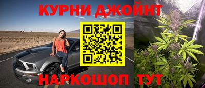 крисы Малгобек