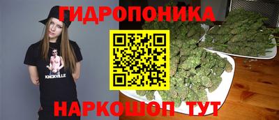 крисы Малгобек